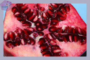 FOTO-INGREDIENTI