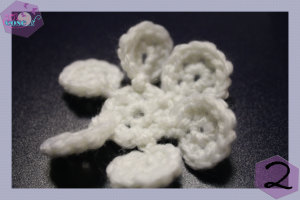 2-FIOCCO-DI-NEVE