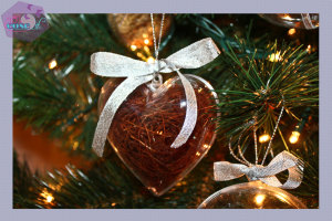 1-Albero-spezie-presentazione